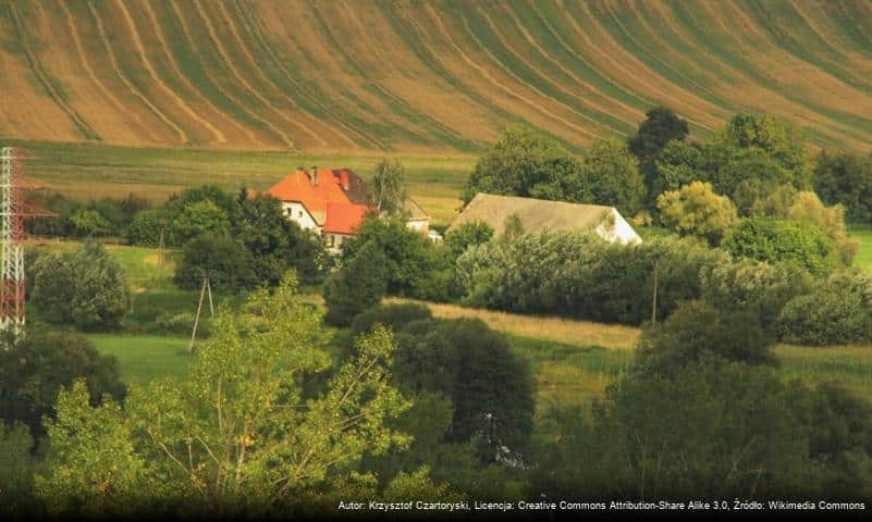 Młyn Czyżyka (część miasta)