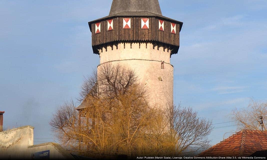 Mikołajkowe Zawody Pływackie o Puchar Burmistrza Prudnika