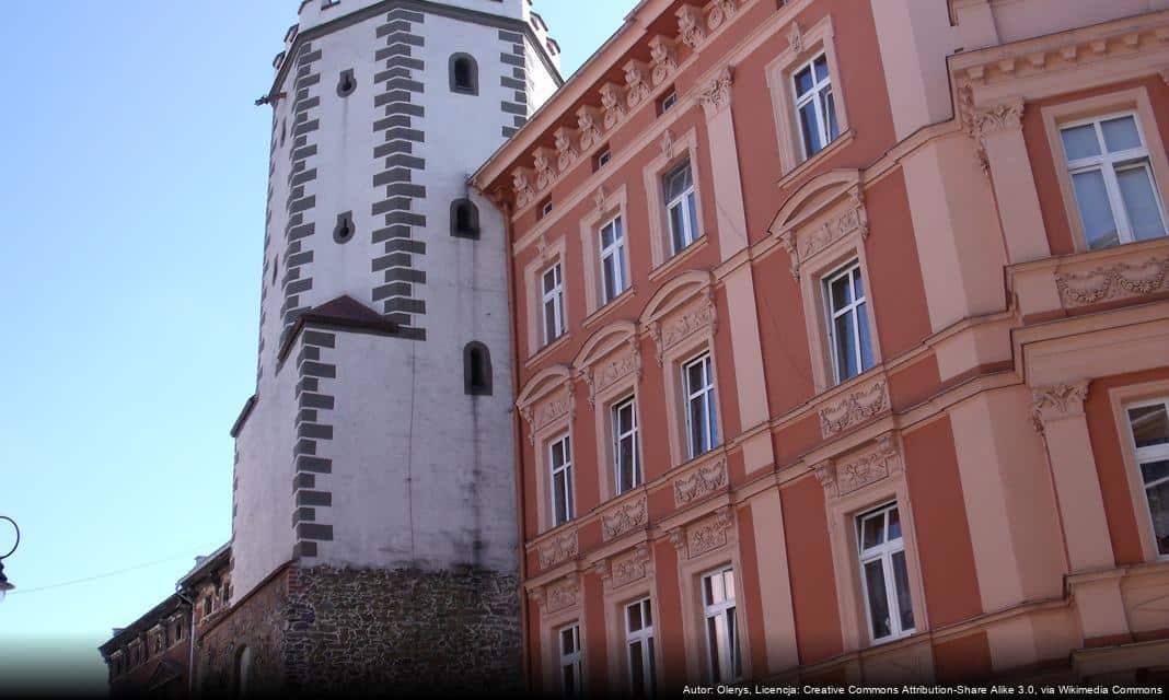 Publiczny wgląd w ofertę zadania dotyczącego wsparcia społeczności lokalnych w Prudniku